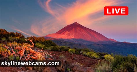 teide live cam|More.